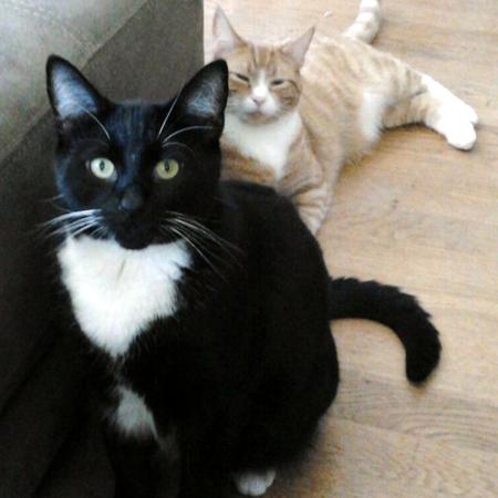 Gunther & Grady